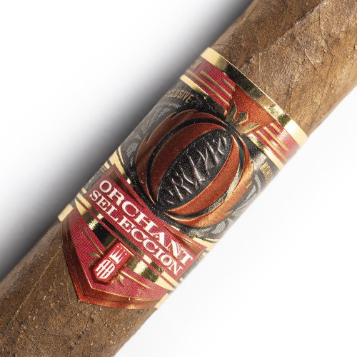 Alec Bradley Orchant Seleccion Shorty Cigar - 1 Single